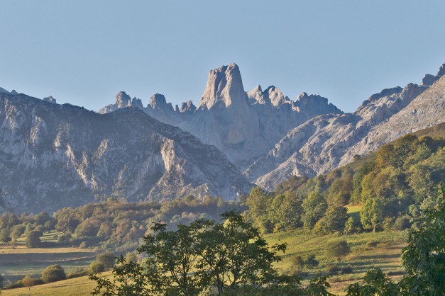 Orange of Bulnes